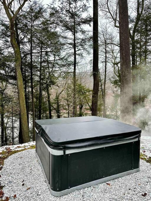 The River House With Hot Tub Equinunk